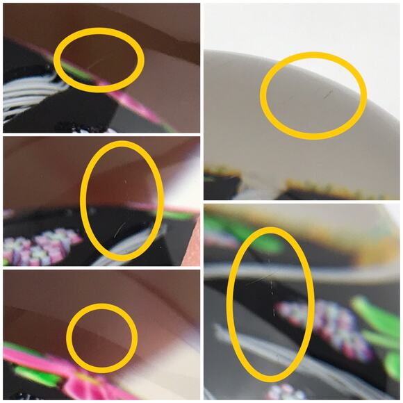 Perthshire Club First Annual Collectors 1998 PPCC Flower Latticinio Paperweight - Picture 13 of 14